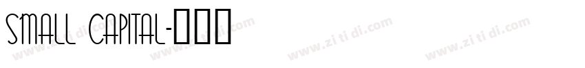 SMALL CAPITAL字体转换